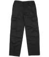 HL210 DWPC10 Warrior Cargo Trousers Black colour image
